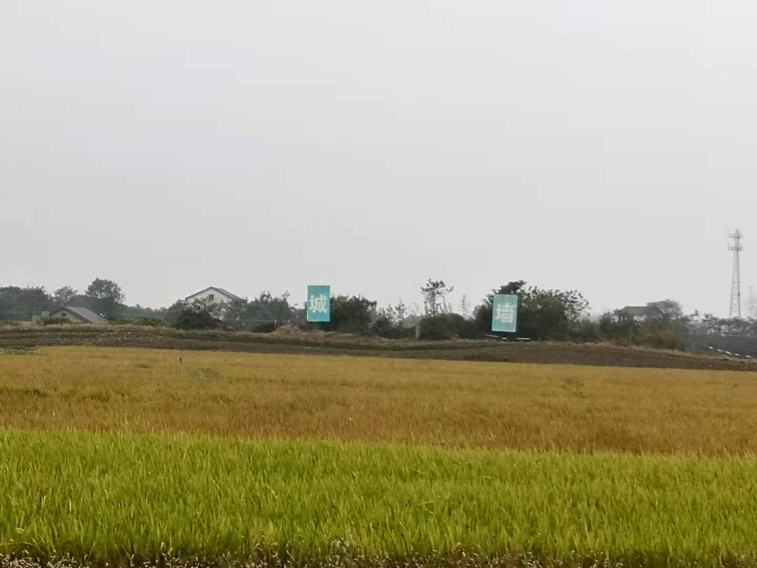 第6届“早期聚落与城市”学术论坛在湖南常德成功举办 第6届“早期聚落与城市”学术论坛在湖南常德成功举办