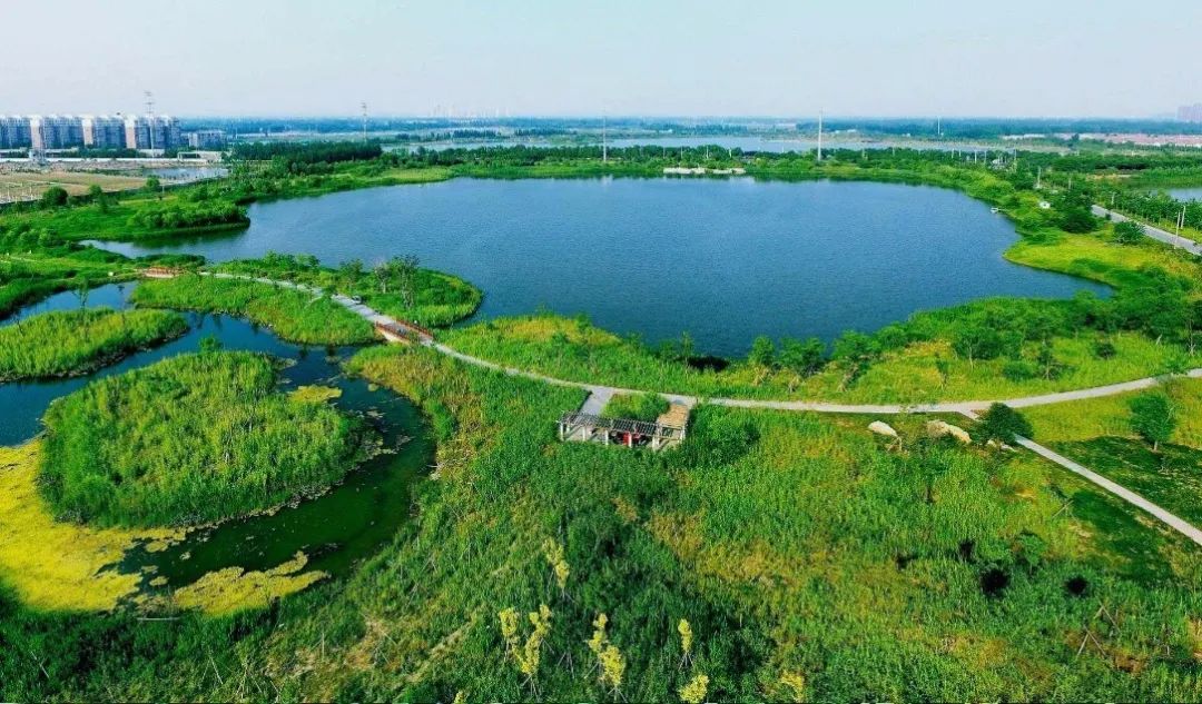 城市体检评估成果交流：徐州篇——老工业城市绿色宜居转型评估
