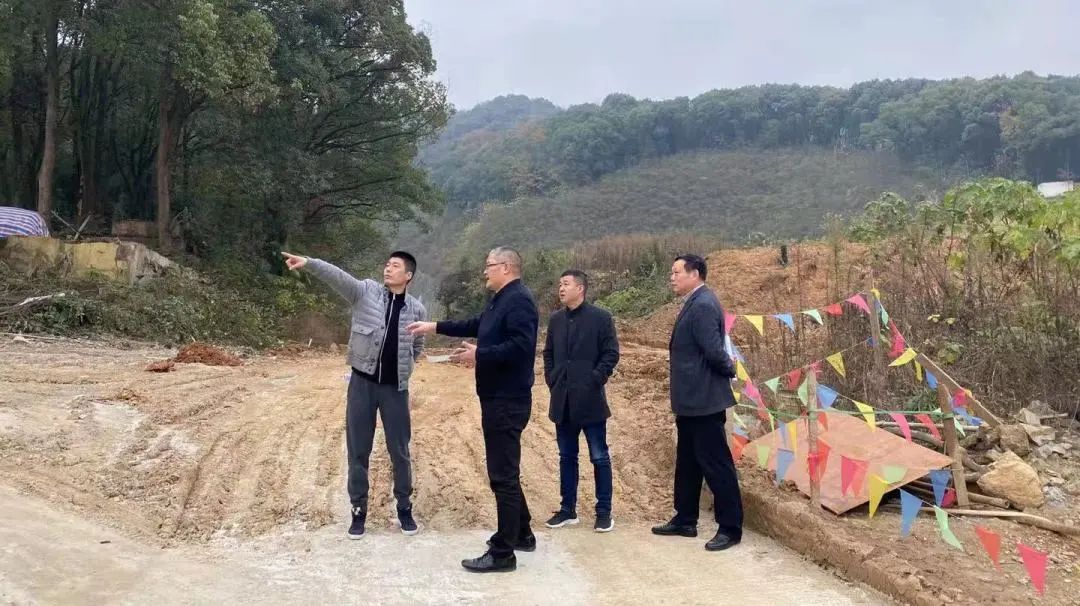 市规划资源局江干分局全面启动“迎亚运”山体生态修复景观提升专项行动