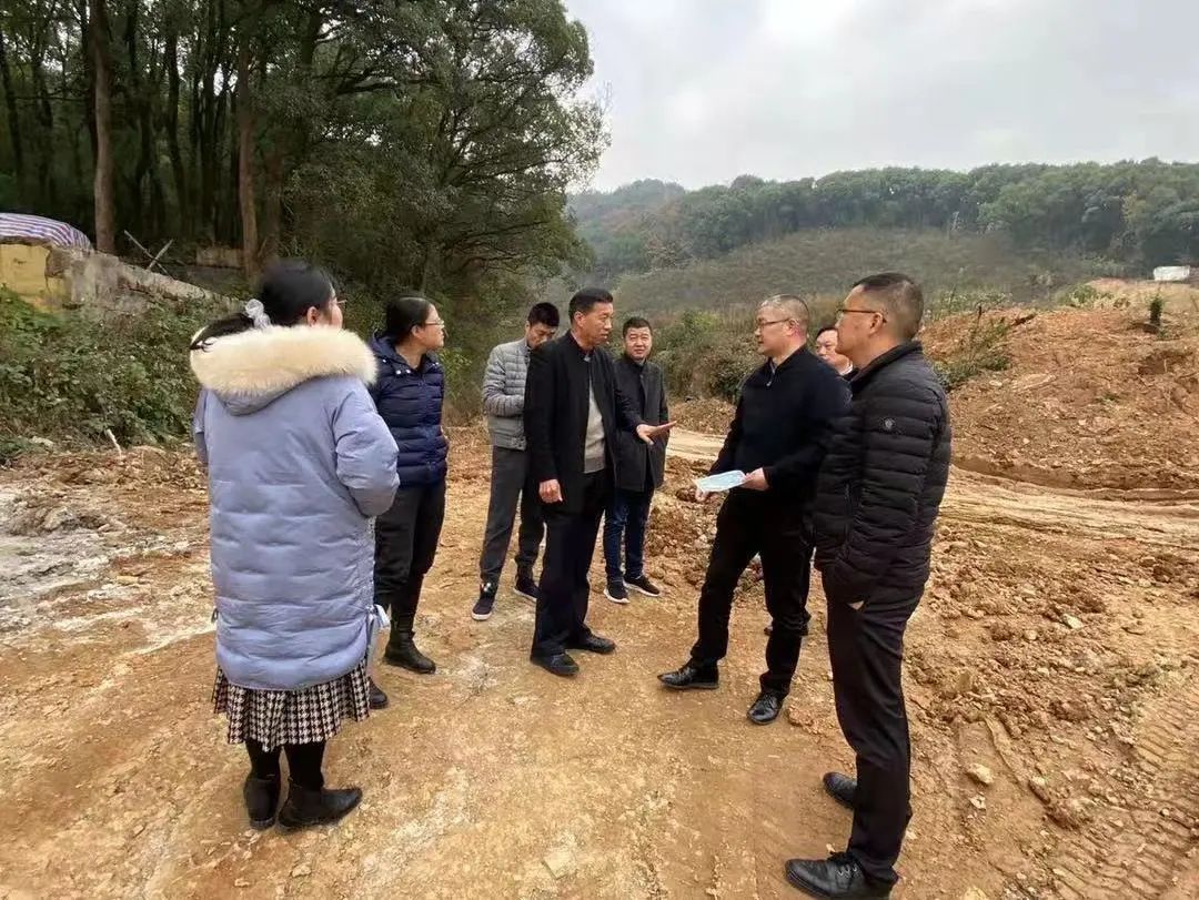 市规划资源局江干分局全面启动“迎亚运”山体生态修复景观提升专项行动