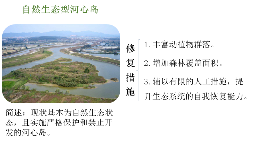 佛山市河心岛生态修复经验做法