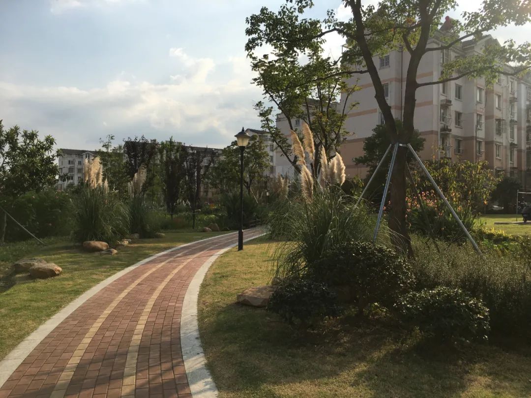 微更新收获“小确幸” ——昆山城市公共空间景观改造提升实践 微更新收获“小确幸” ——昆山城市公共空间景观改造提升实践