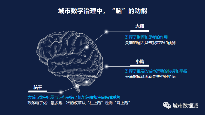 每日互动，数治十载，开启未来数据智人新时空丨城市数据派