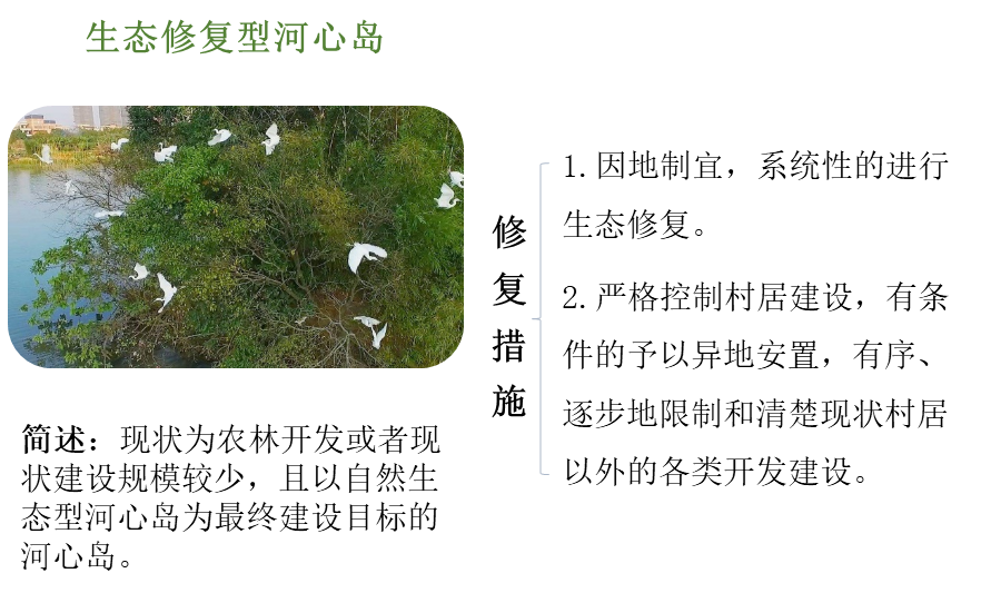 佛山市河心岛生态修复经验做法