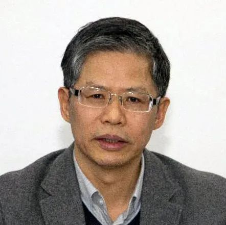 经典重温 ǀ 薛美根：现代有轨电车主要特征与国内外发展研究