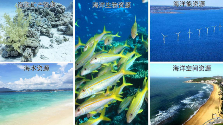试论我国新时期的海洋资源资产管理体制