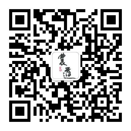 【公益直播第十讲预告】祝采朋：《运营前置规划设计》
