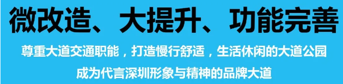 2019年度优秀城市规划设计系列：深南大道景观设计暨空间规划概念设计国际竞赛——深南大道功能完善项目