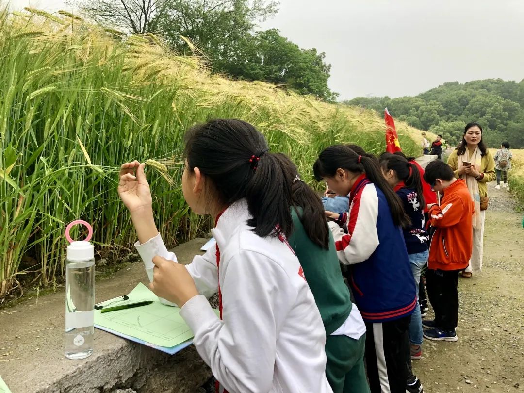滨江区全域土地综合整治与生态修复工程通过市级验收