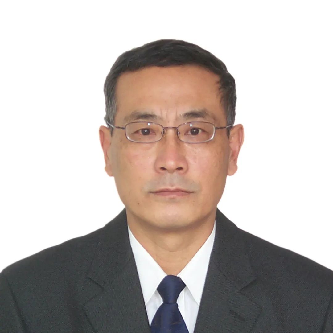 科技领军人才之中国地质调查局天津地质调查中心王宏 科技领军人才之中国地质调查局天津地质调查中心王宏