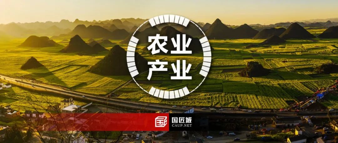 国土空间总体规划编制相关的专题推荐
