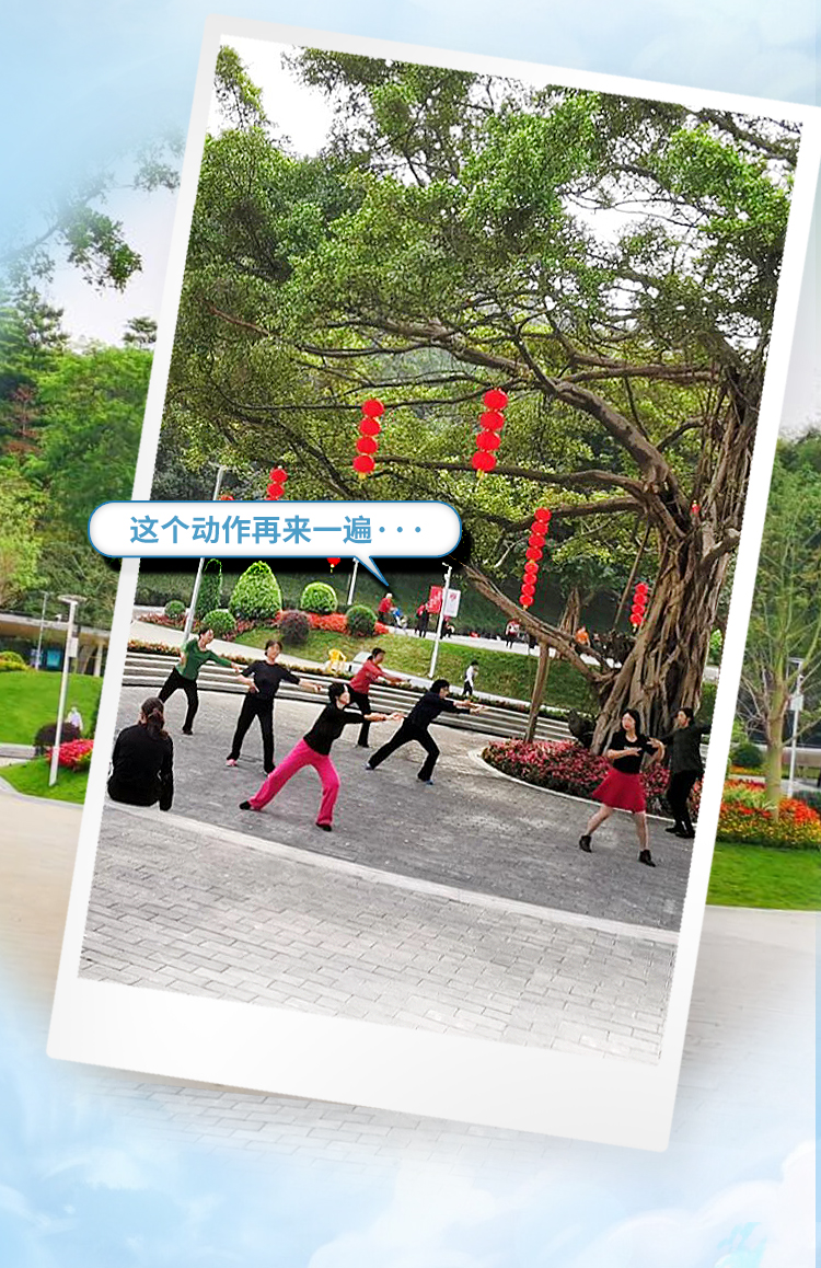 多图｜全龄友好，四季舒适，这样的广州我爱了！