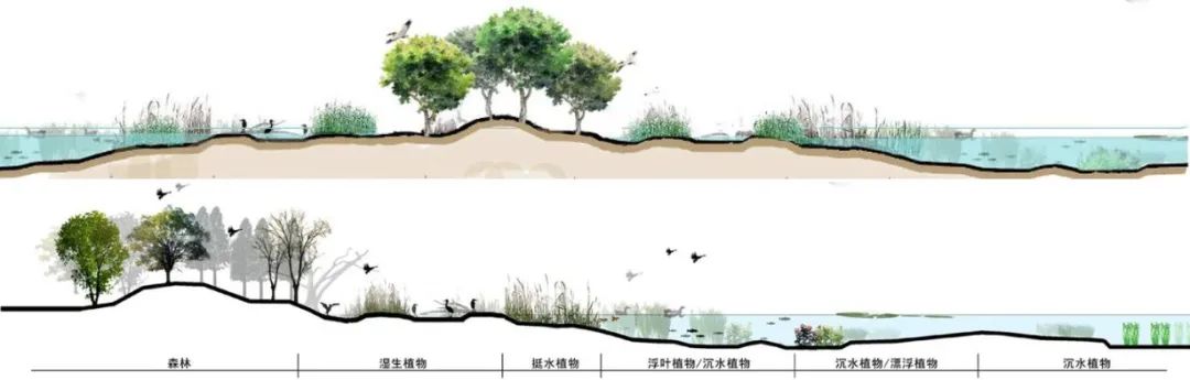 大湾区设计大奖：东莞生态园中心区城市设计