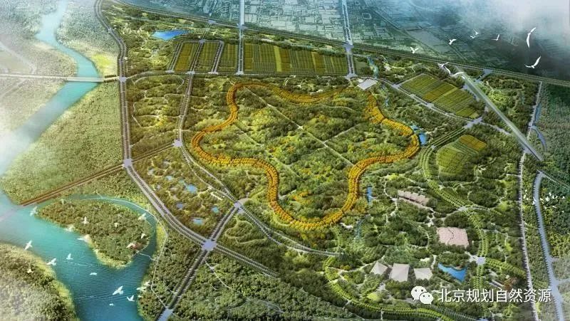 《北京城市总体规划(2016年—2035年)》实施情况的报告 《北京城市总体规划(2016年—2035年)》实施情况的报告