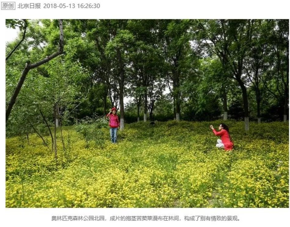 李迪华:城市生物多样性保护设计 | 学术季 李迪华:城市生物多样性保护设计 | 学术季