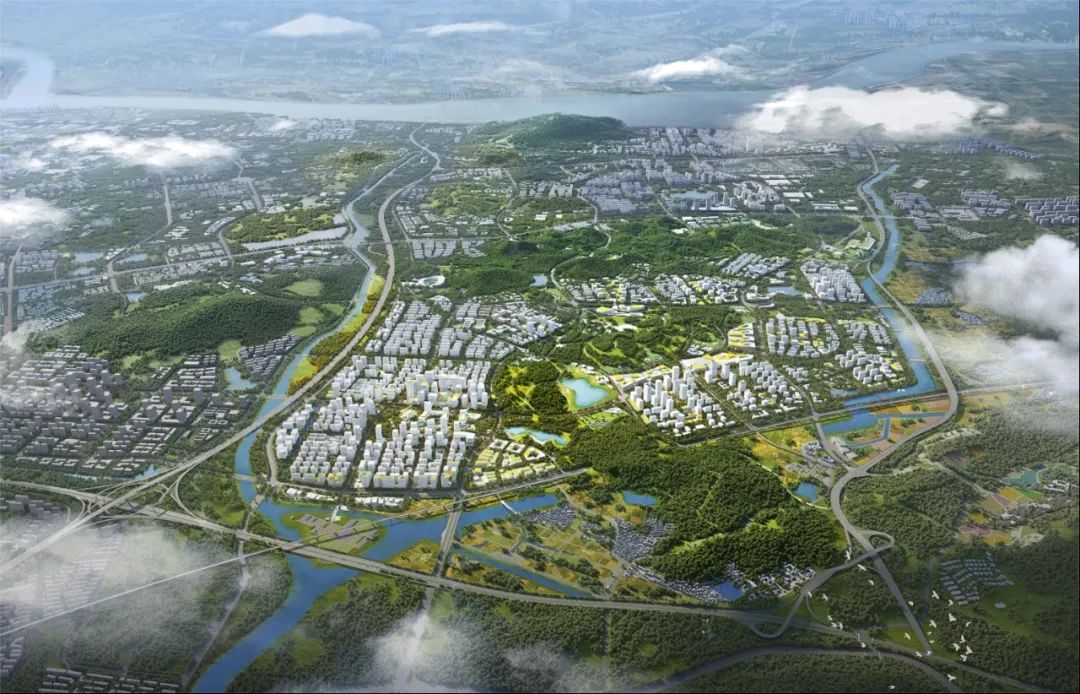 政协开幕会上，南京市委书记提出共绘“四幅画卷”