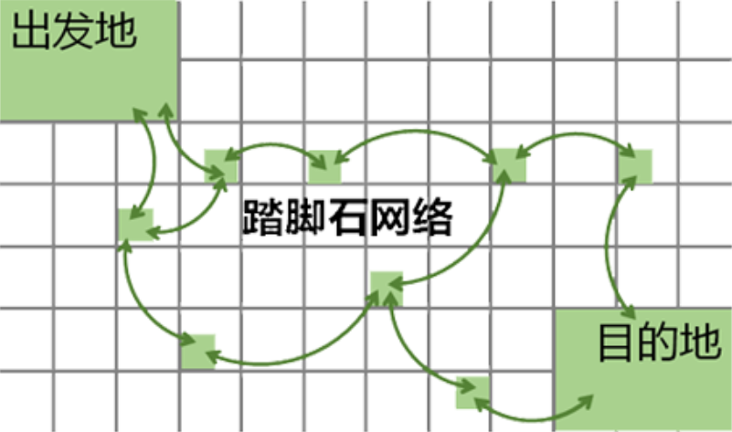 城市绿地修复，自然生态为先