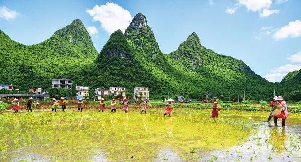 广西桂林市临桂区:守住“生命线” 发展走得稳 广西桂林市临桂区:守住“生命线” 发展走得稳