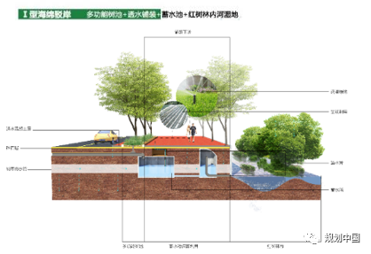 风景园林助推城市转型发展——从三亚两河四岸景观整治修复谈起 风景园林助推城市转型发展——从三亚两河四岸景观整治修复谈起