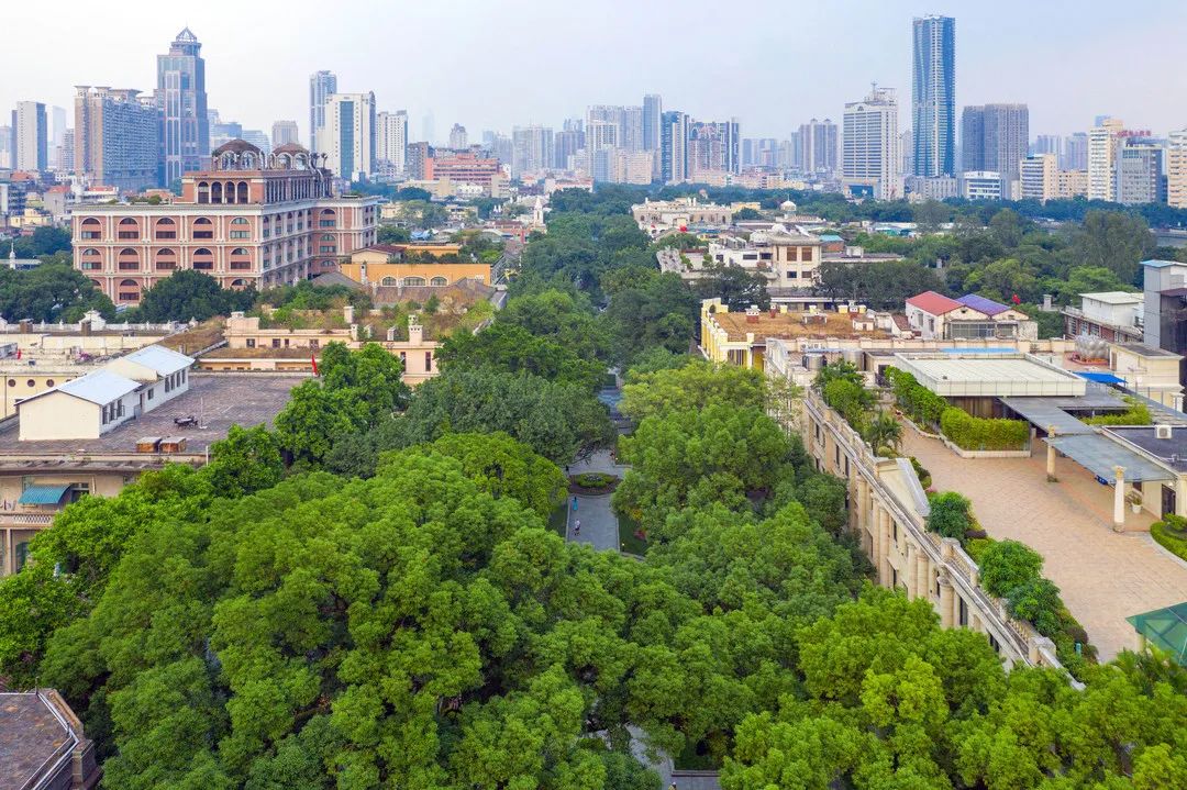 引领城市“流量”转化为城市“留量”,广州都做了什么? 引领城市“流量”转化为城市“留量”,广州都做了什么?