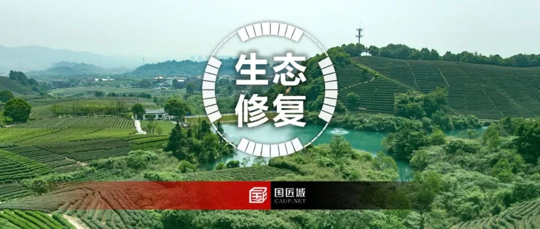 国土空间总体规划编制相关的专题推荐