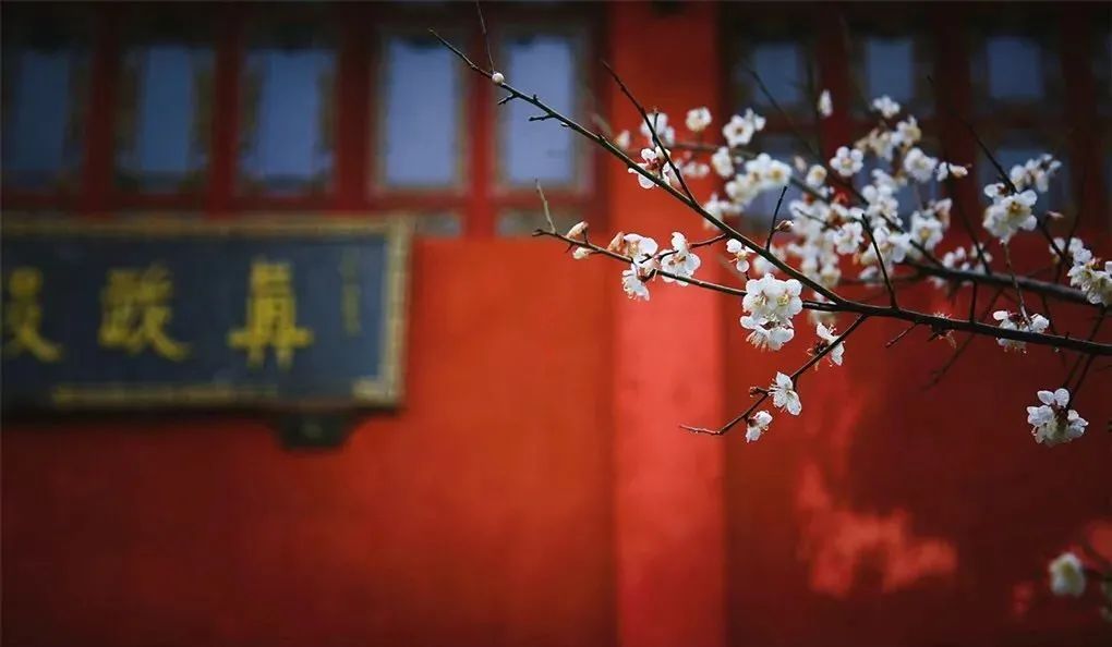 他们从故宫里考据出384种传统色:中国审美太惊艳 他们从故宫里考据出384种传统色:中国审美太惊艳