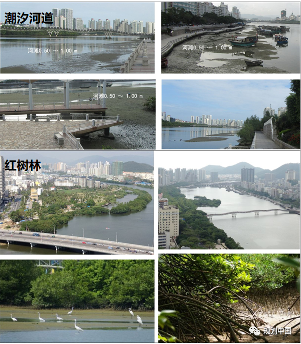 风景园林助推城市转型发展——从三亚两河四岸景观整治修复谈起