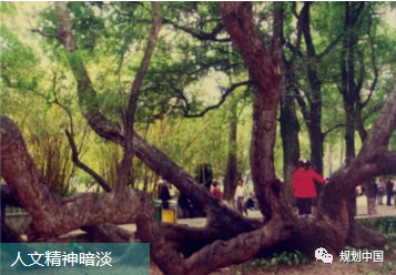 风景园林助推城市转型发展——从三亚两河四岸景观整治修复谈起 风景园林助推城市转型发展——从三亚两河四岸景观整治修复谈起