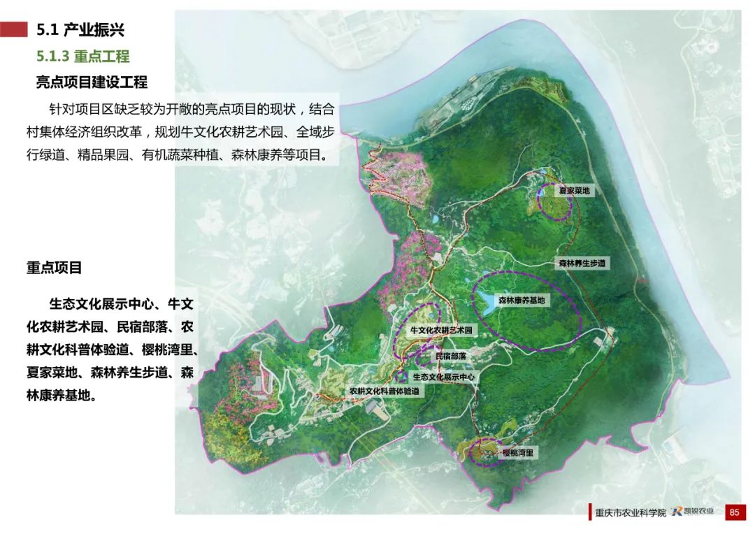乡村振兴示范村总体规划怎么做？这个118页的PPT参考一下