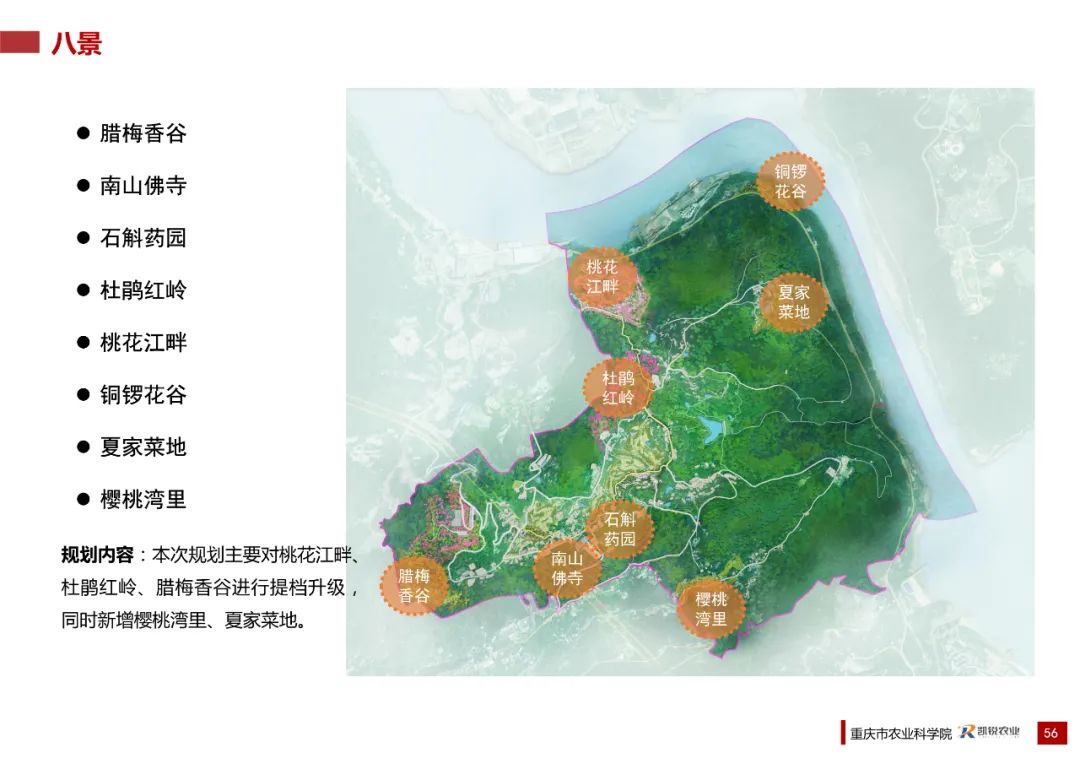乡村振兴示范村总体规划怎么做？这个118页的PPT参考一下