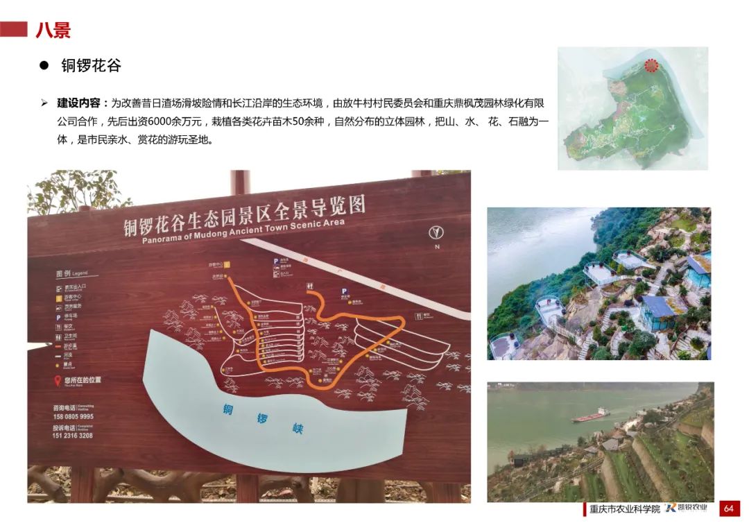 乡村振兴示范村总体规划怎么做？这个118页的PPT参考一下