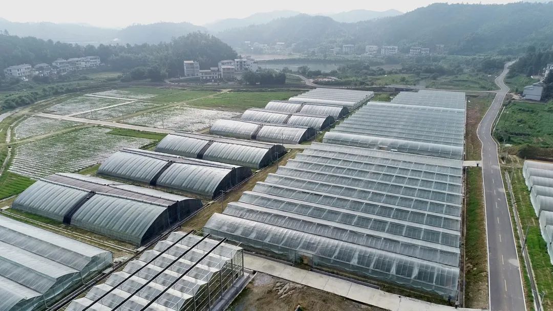 自然资源部定点扶贫驻村第一书记:把初心写在大地上 自然资源部定点扶贫驻村第一书记:把初心写在大地上