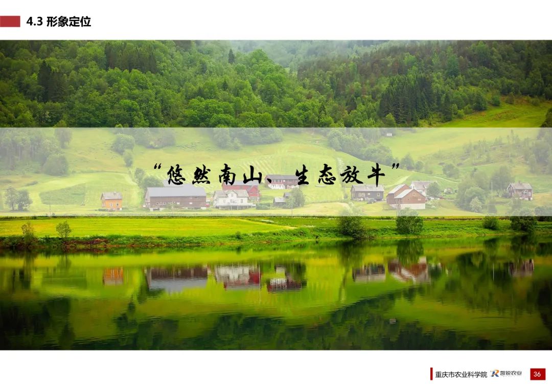 乡村振兴示范村总体规划怎么做？这个118页的PPT参考一下