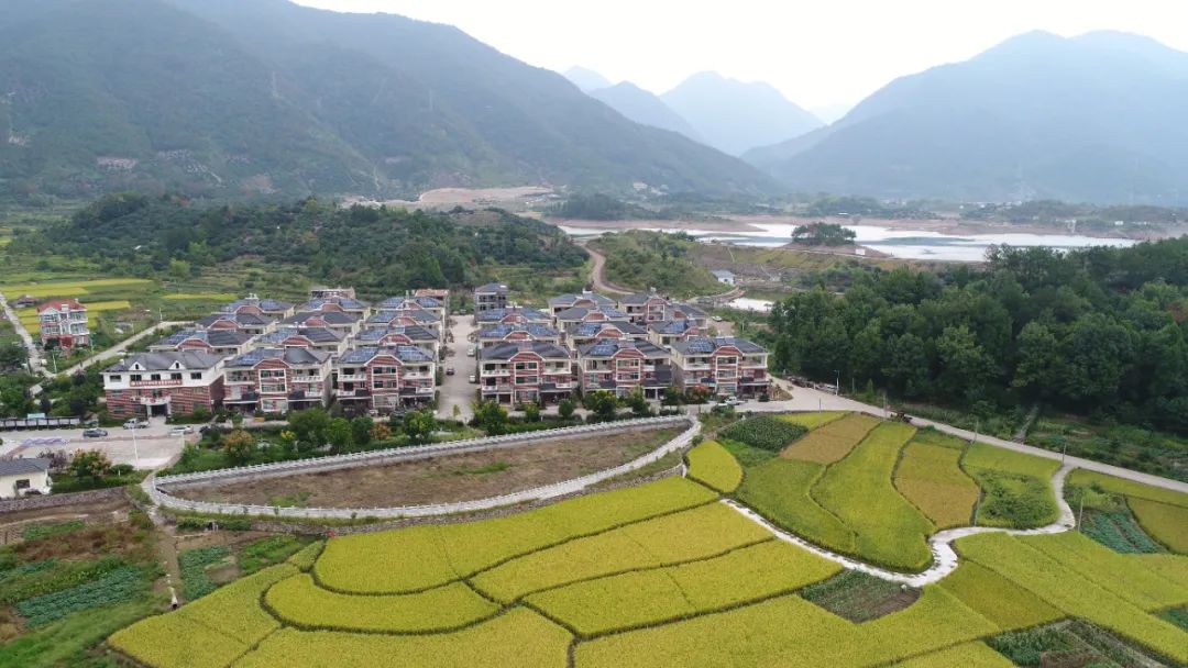 领导干部谈绿水青山｜浙江省台州市委书记李跃旗谈“两山”理念践行