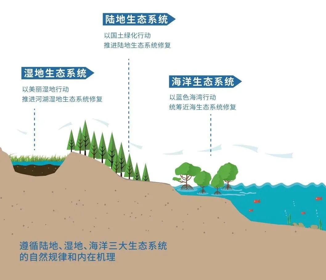 沪深广磁悬浮要来了！深圳至上海将只要3小时即可到达！