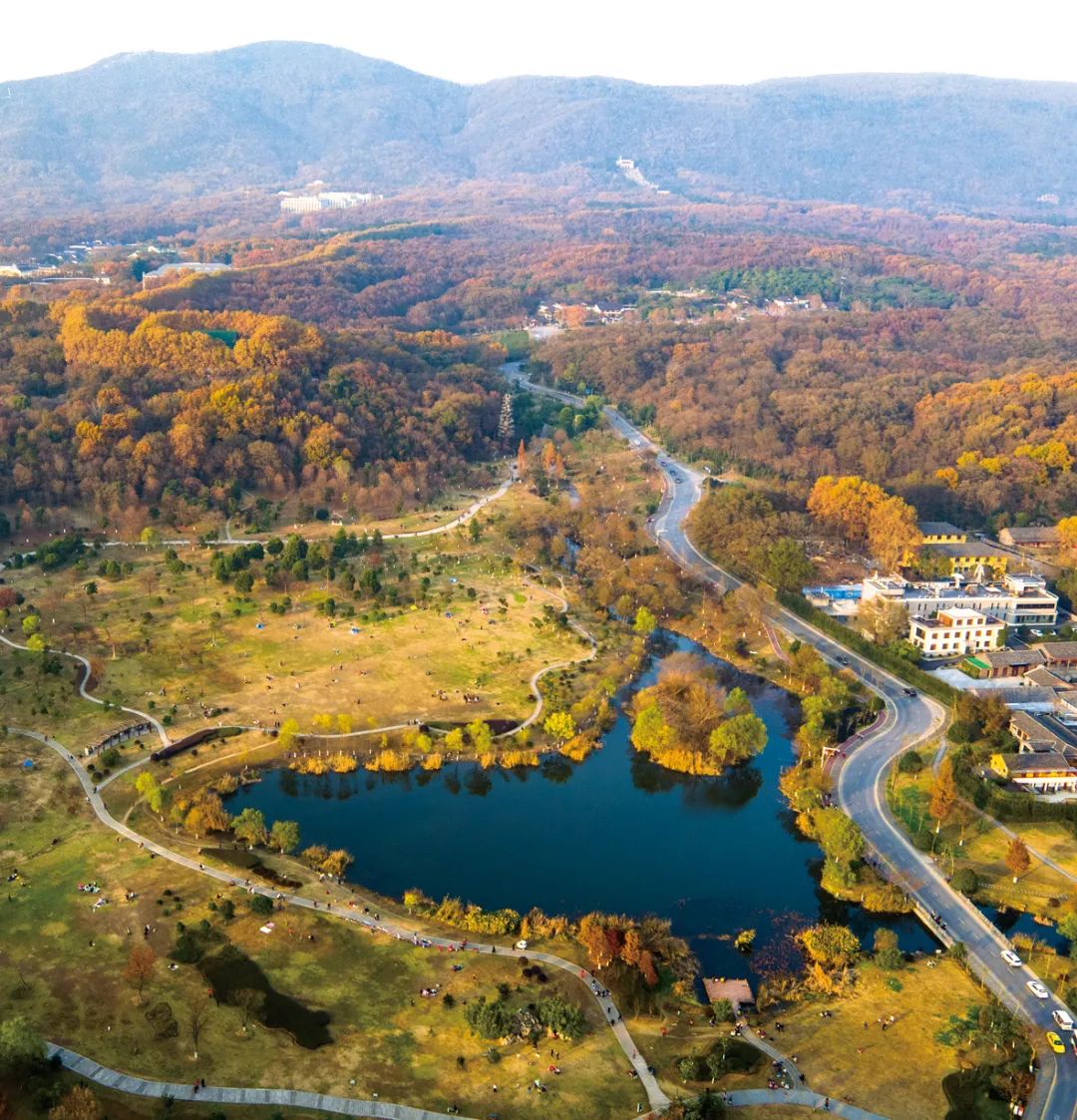 【Open Access】“从自然中的城市”到“城市中的自然”——因地制宜、顺势而为的城市设计