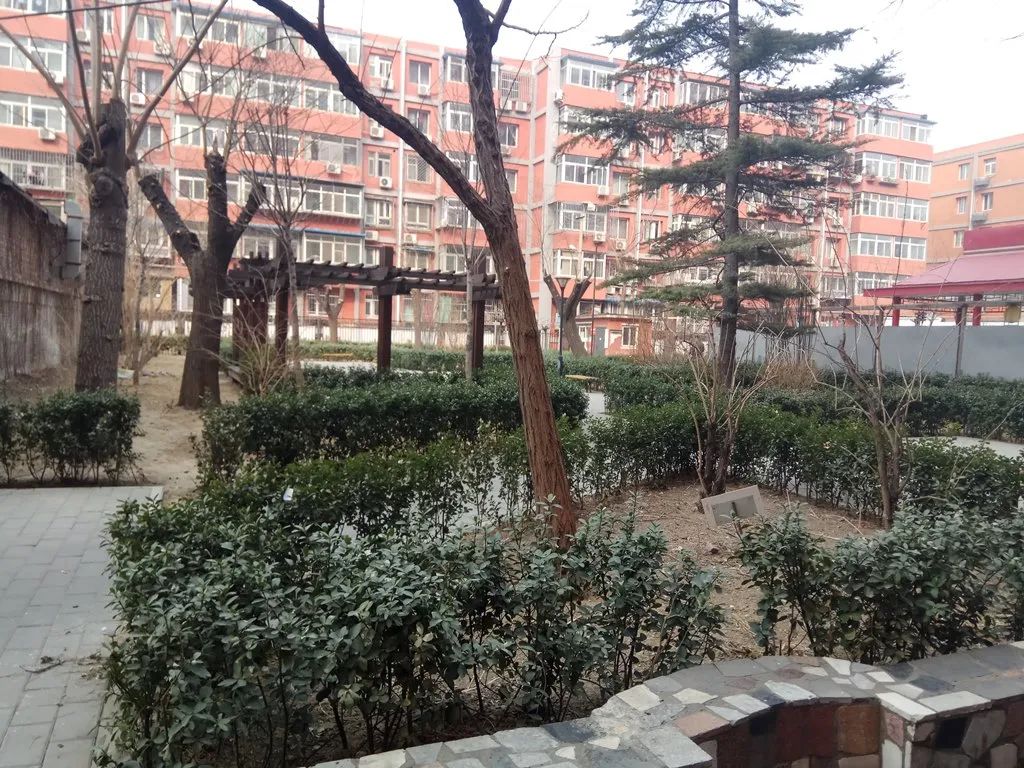 “劲松模式”引领老旧小区改造,《我是规划师》第四集反响强烈 “劲松模式”引领老旧小区改造,《我是规划师》第四集反响强烈