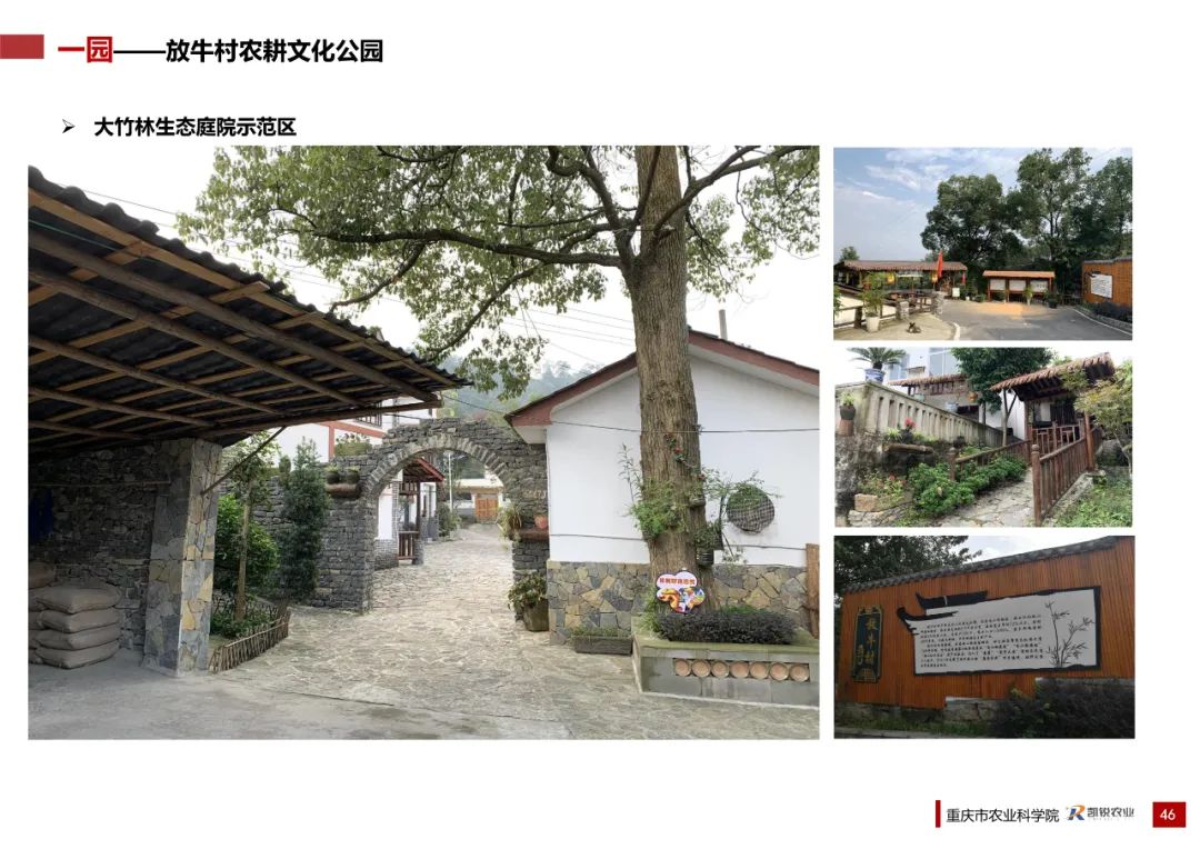 乡村振兴示范村总体规划怎么做？这个118页的PPT参考一下