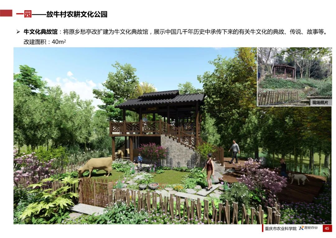 乡村振兴示范村总体规划怎么做？这个118页的PPT参考一下