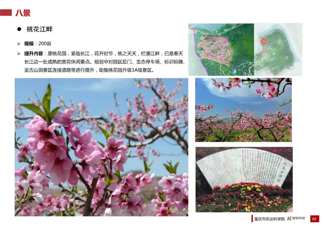 乡村振兴示范村总体规划怎么做？这个118页的PPT参考一下