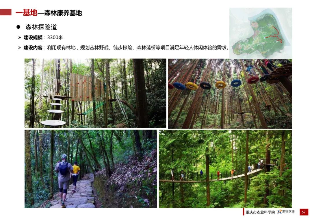 乡村振兴示范村总体规划怎么做？这个118页的PPT参考一下