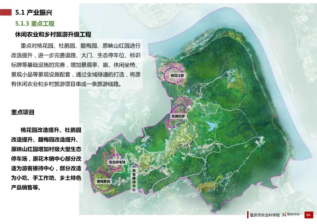乡村振兴示范村总体规划怎么做？这个118页的PPT参考一下