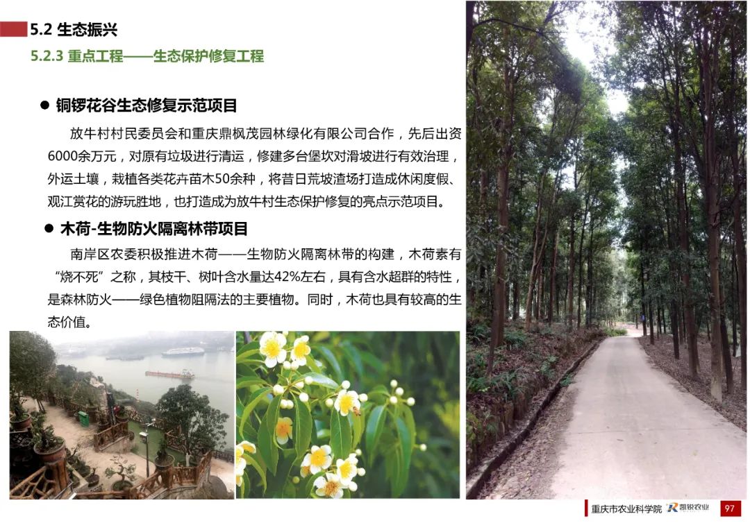 乡村振兴示范村总体规划怎么做？这个118页的PPT参考一下