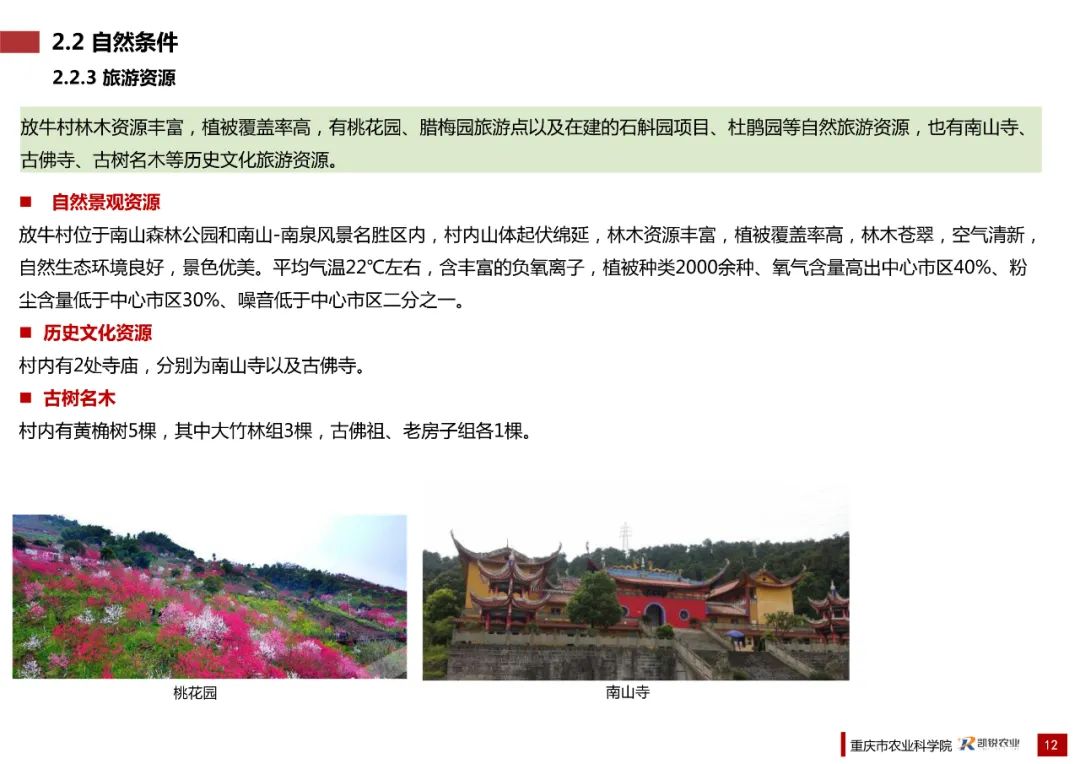 乡村振兴示范村总体规划怎么做？这个118页的PPT参考一下