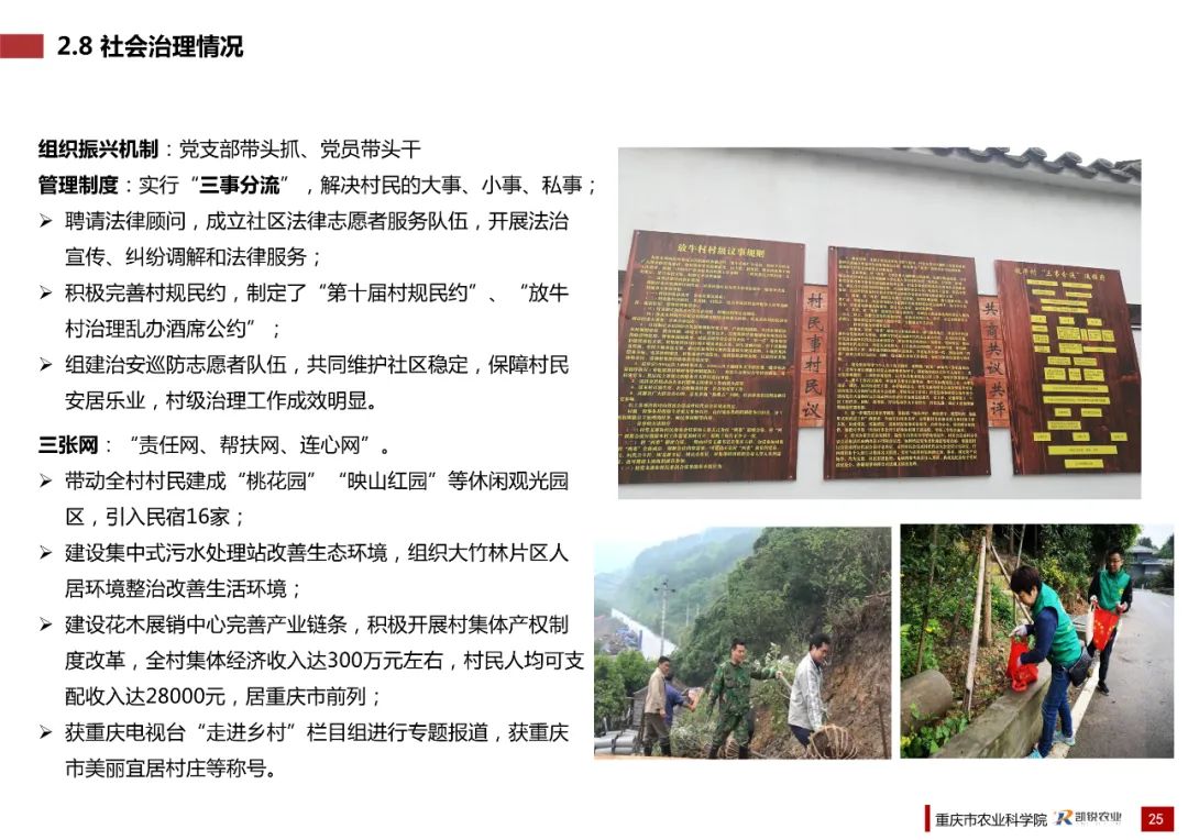 乡村振兴示范村总体规划怎么做？这个118页的PPT参考一下