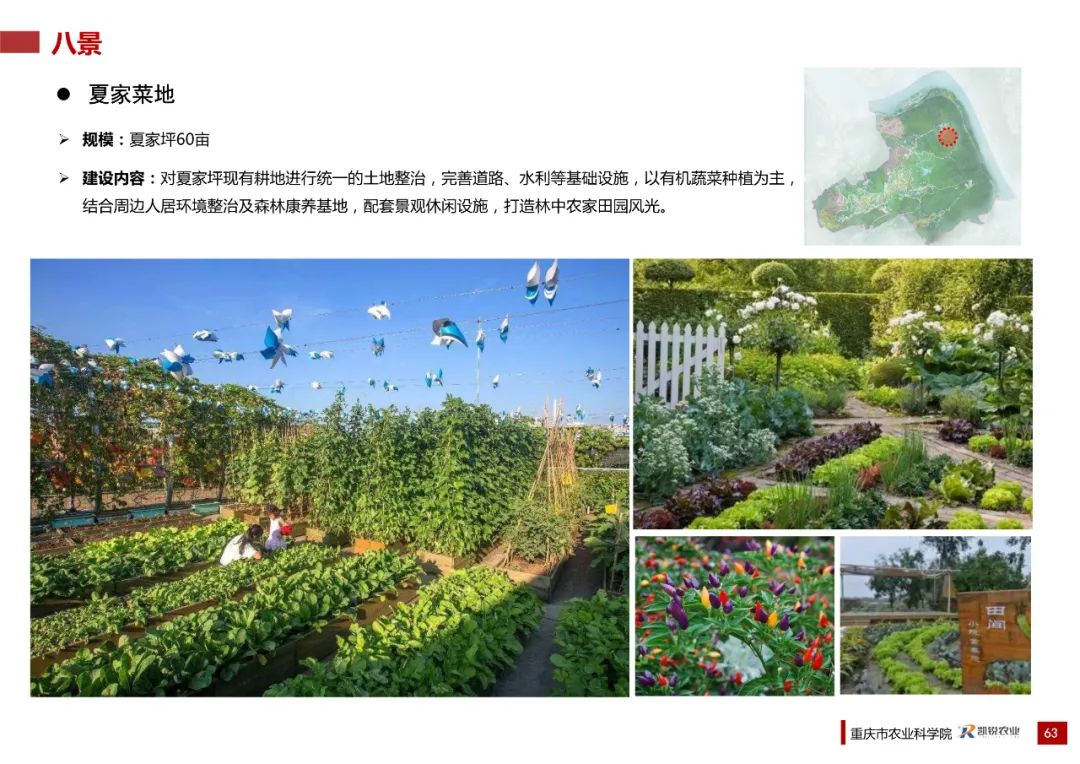 乡村振兴示范村总体规划怎么做？这个118页的PPT参考一下