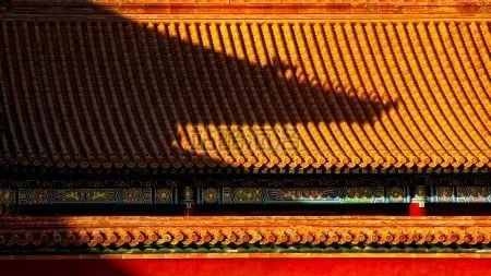 扎哈事务所又中标了！灵感竟来自中国传统琉璃筒瓦屋顶 ！