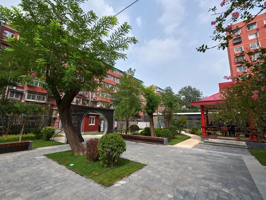 “劲松模式”引领老旧小区改造,《我是规划师》第四集反响强烈 “劲松模式”引领老旧小区改造,《我是规划师》第四集反响强烈