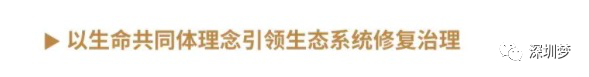 沪深广磁悬浮要来了！深圳至上海将只要3小时即可到达！