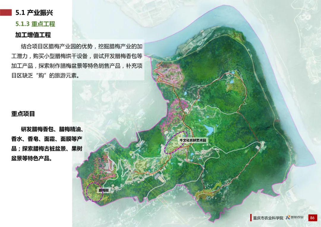 乡村振兴示范村总体规划怎么做？这个118页的PPT参考一下